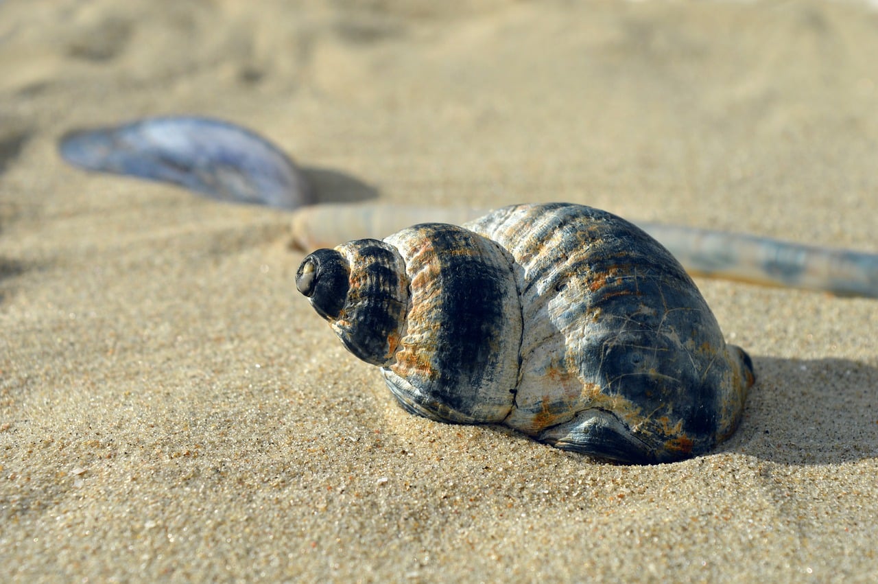 Perfekten Strandurlaub planen: Sonne, Meer und Erholung