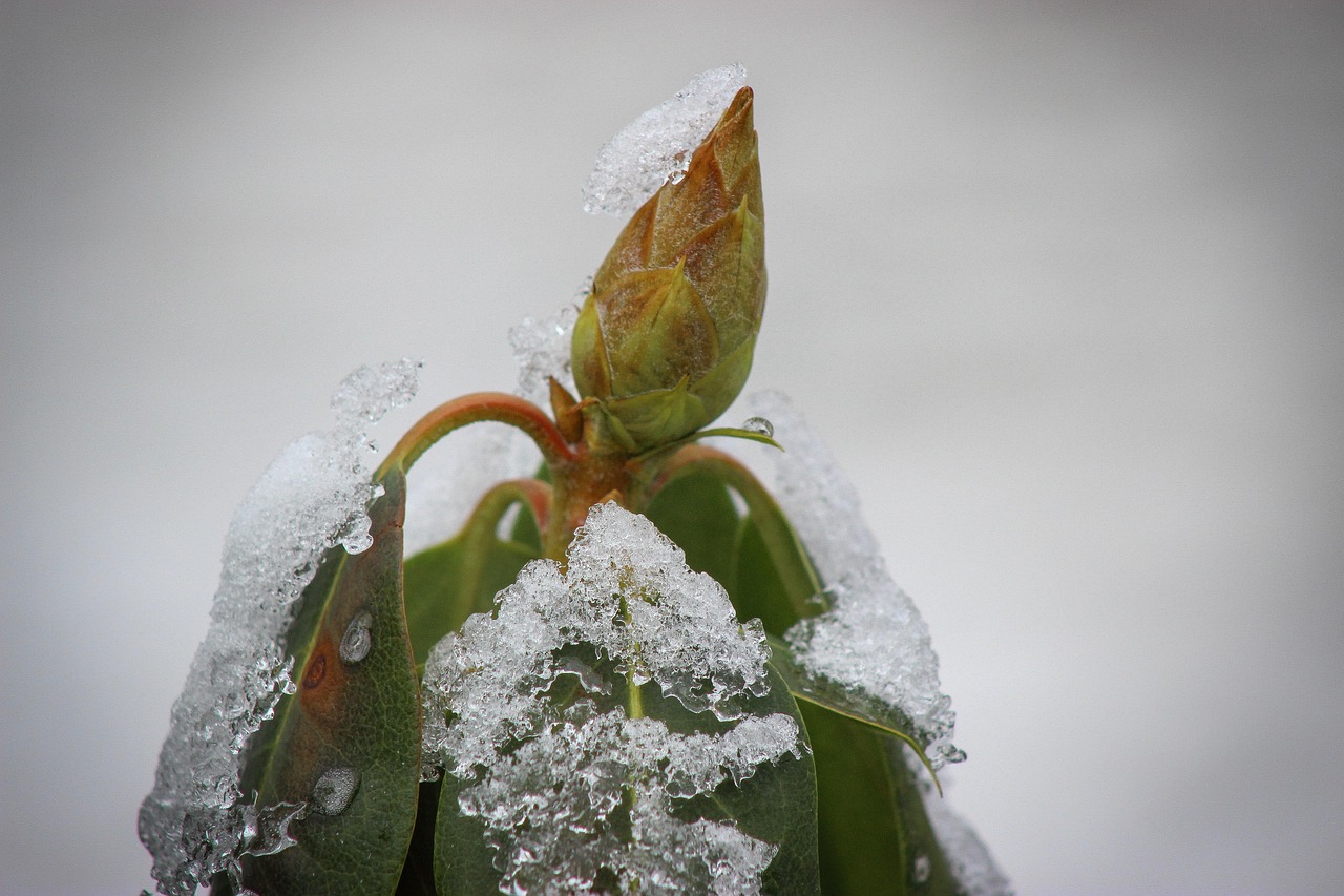Ueberleben im Winter