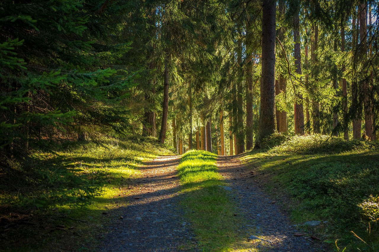 Fernbeziehung
