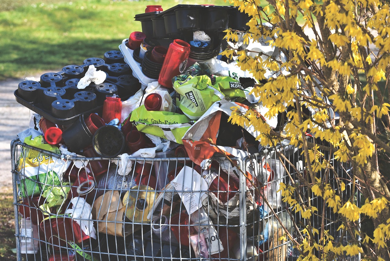 Mülltrennung richtig machen: was gehört in welche Tonne