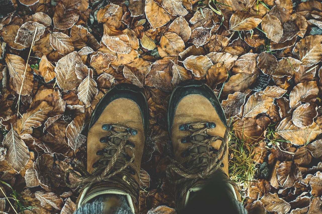 Wandern