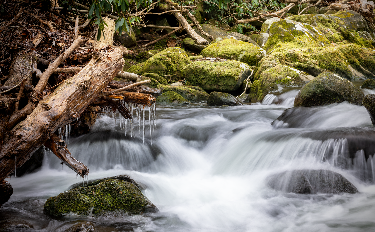 Wasser in der Natur