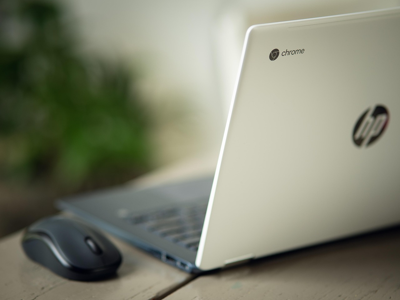 Online Meeting